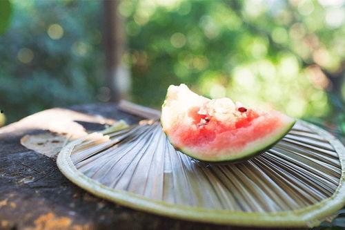 娱乐吃瓜免费吃瓜入口,揭秘免费吃瓜入口，轻松掌握最新八卦资讯