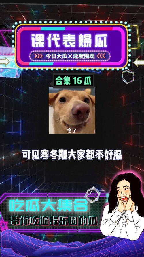 娱乐吃瓜课,揭秘明星幕后故事与热点事件