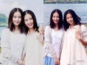 娱乐吃瓜酱替身文学,娱乐吃瓜酱带你揭秘替身文学背后的故事
