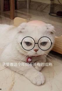 娱乐吃瓜君和刘二豆,网红刘二豆的消失与回归