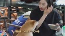 吃瓜网娱乐八卦视频,娱乐圈最新八卦视频大放送！