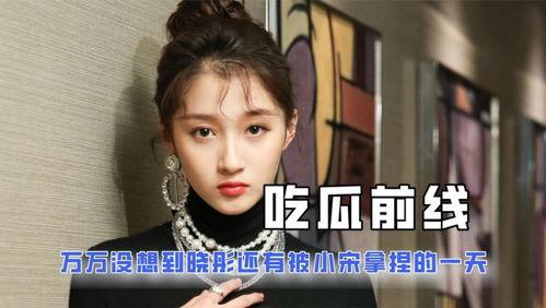 关于娱乐圈的吃瓜小说,揭秘吃瓜小说中的明星秘事
